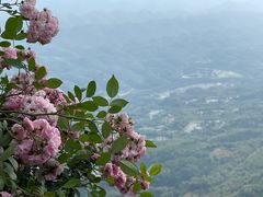 -蜀南竹海景区