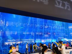 -成都浩海立方海洋公园