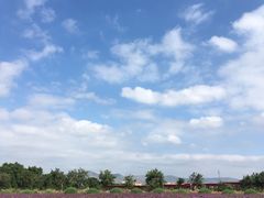 -兰州大学(榆中校区)