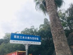 -三水森林公园