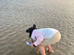 -刘家湾赶海园