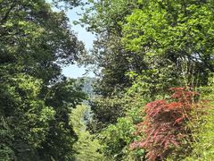 -中国大熊猫保护研究中心雅安碧峰峡基地