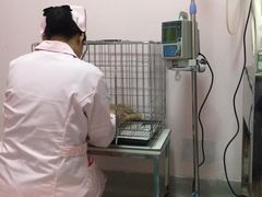-宠颐生中康贝怡动物医院