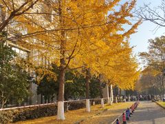 -江南大学(蠡湖校区)