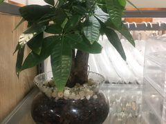 -MUJI无印良品(远洋未来广场店)