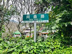 -鼎湖山风景区