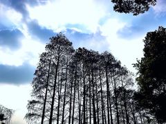 -东湖听涛景区