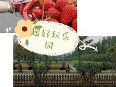 -前小桔亲子创意农场·草莓采摘·露营烧烤