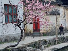 -婺源风景区