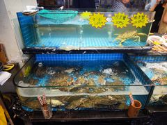 -侬佳蒸菜馆(听潮店)