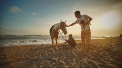 -FAIRY婚礼跟拍工作室