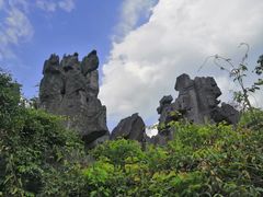 -玉石林风景区
