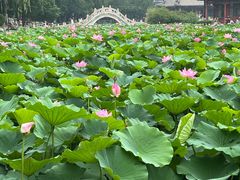 -莲池书院博物馆
