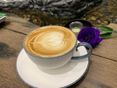 -菩提树下茶咖鼓捣