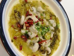 -阿锋鲍鱼酒家美食汇(华安店)