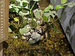 -邈墨茶馆(凤起路店)