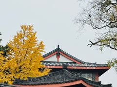 -浙江省博物馆(孤山馆区)