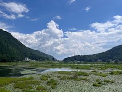 -腾冲北海湿地