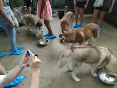 -TrueLove @ Neverland (Husky Cafe)