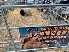 -天河城购物中心