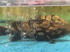 -阿伟海鲜楼·福建菜(延寿店)