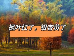 -四明山国家森林公园