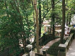 -老君山
