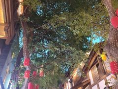 -重庆十八梯传统风貌区