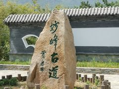 -阳台山自然风景区