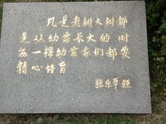 -宋庆龄陵园