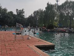 -柳浪游泳场