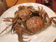 -视界美食自助餐厅·石家庄希尔顿酒店