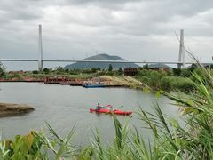 -芒洲湿地公园