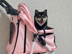 -谐和贝康宠物医院24小时·宠保定点(急重症转诊中心)