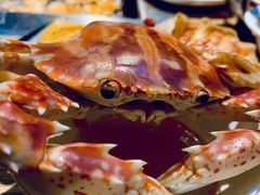 -苏格里岛自助海鲜烤肉(青秀万达店)