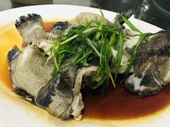 -蚝专家(北滘店)