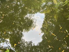 -成都杜甫草堂博物馆