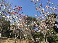 -大连植物园