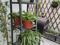 -晓风书屋(北山街店)
