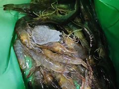 -马王堆海鲜水产市场