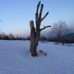 -大秃顶子山