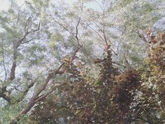 -中国移动(都市路营业厅)