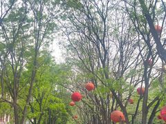 -大雁塔北广场音乐喷泉