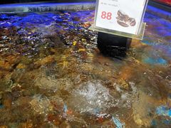 -盒马鲜生(岭南新世界店)
