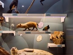 -国家自然博物馆