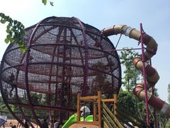 -枫香湖儿童公园