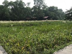 -中国天府农业博览园