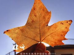 -昆明老街