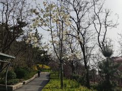 -北岭山森林公园