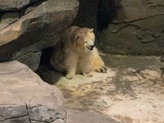 -海合安武汉极地海洋公园
